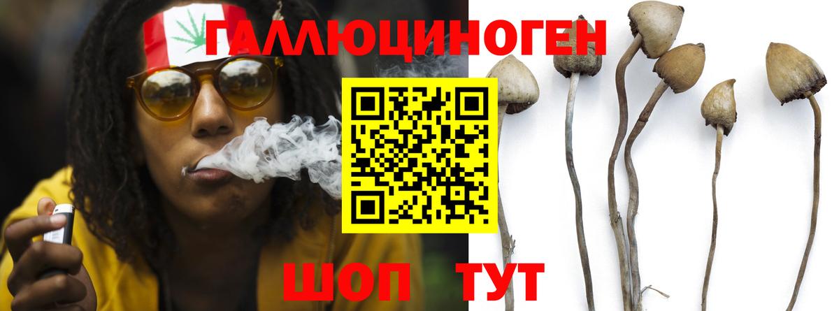 Псилоцибиновые грибы Psilocybine cubensis Самара