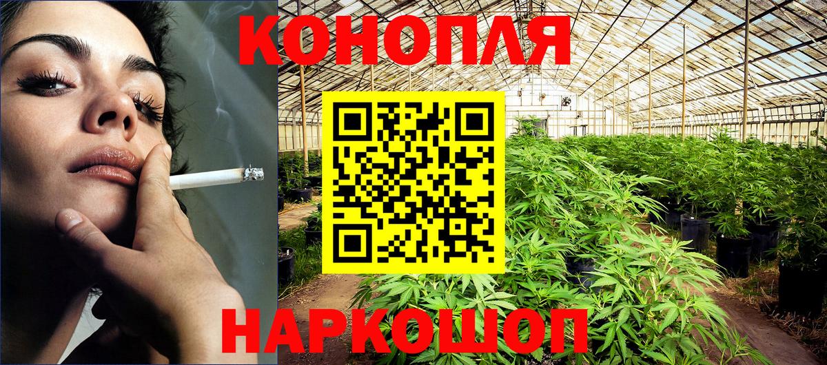 Бошки Шишки конопля Самара